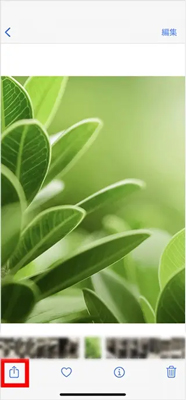 「共有」ボタンをタップする