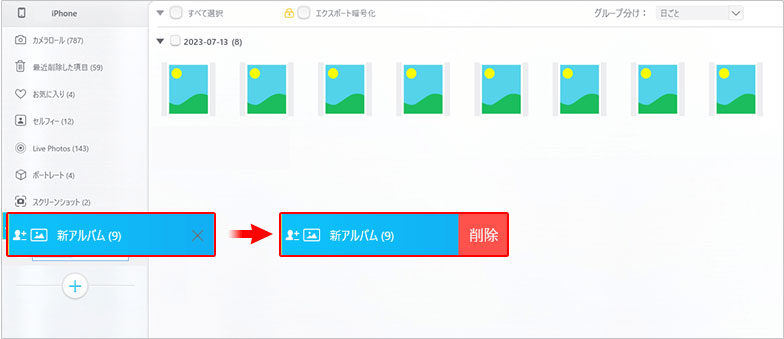 DearMob iPhoneマネージャーでアルバム削除