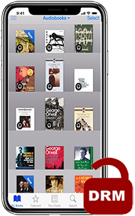 remove drm from ibooks