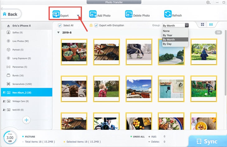 Export Photos before deleting